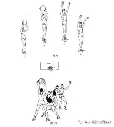 关于评价篮球训练的不足之处_2